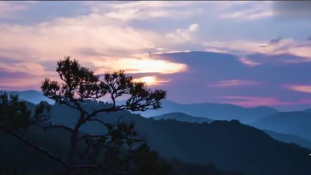 狂野飙客4